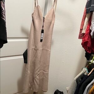 BCBGMaxAzria Backless Beige Dress